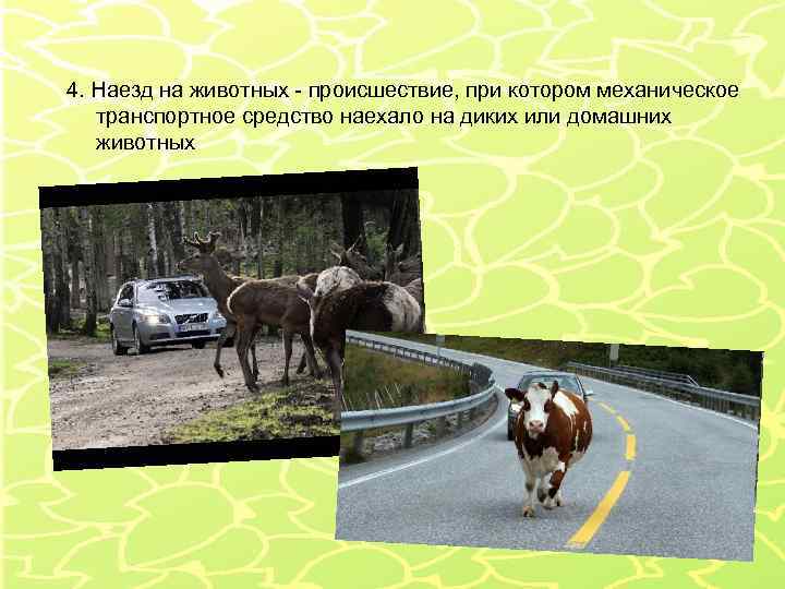 4. Наезд на животных - происшествие, при котором механическое транспортное средство наехало на диких