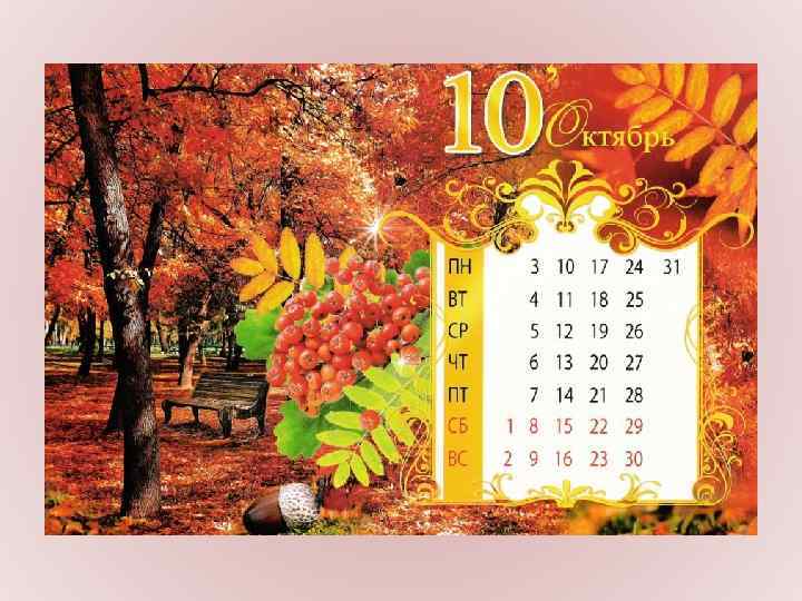 В сентябре откроет школа Двери для детей веселых, У зверят же свой урок Запасать