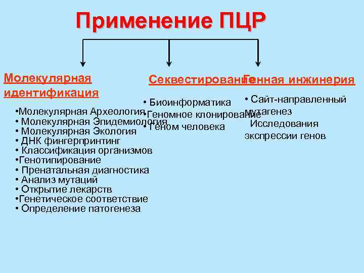 Генетическое соответствие. Генотипирования. Методы генотипирования отдельных геномных элементов. Генотипирование интактных клеток. Секвестирование это в биологии.