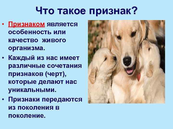 Что такое признак? • Признаком является особенность или качество живого организма. • Каждый из