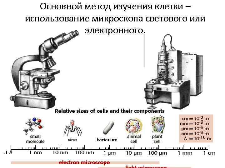 Основной метод изучения клетки – использование микроскопа светового или электронного. 
