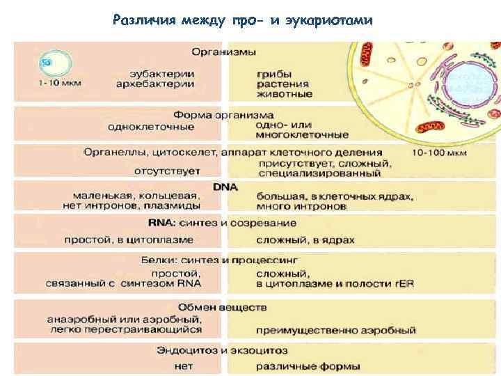 Между про