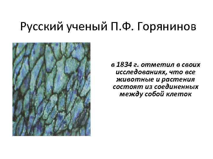 Русский ученый П. Ф. Горянинов в 1834 г. отметил в своих исследованиях, что все