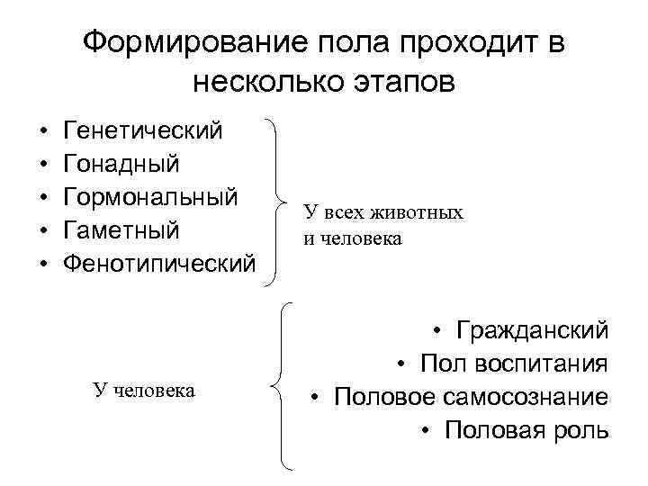 Формирование пола проходит в несколько этапов • • • Генетический Гонадный Гормональный Гаметный Фенотипический