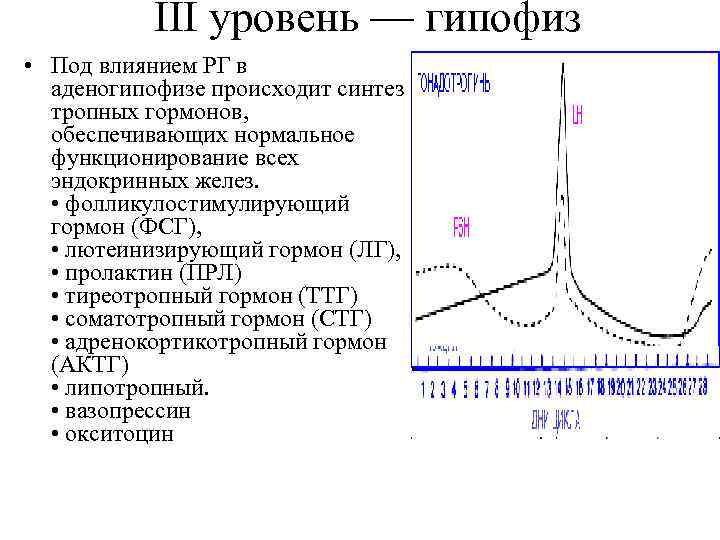 III уровень — гипофиз • Под влиянием РГ в аденогипофизе происходит синтез тропных гормонов,