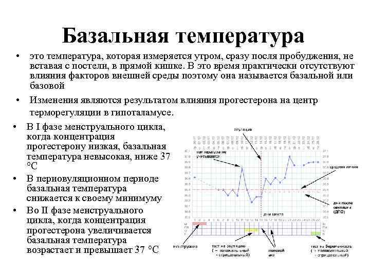 Базальная температура • это температура, которая измеряется утром, сразу посля пробуджения, не вставая с