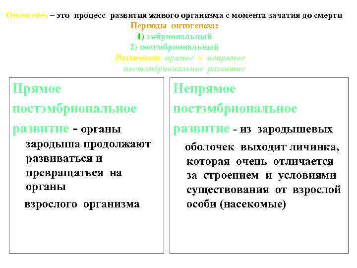 Онтогенез – это процесс развития живого организма с момента зачатия до смерти Периоды онтогенеза: