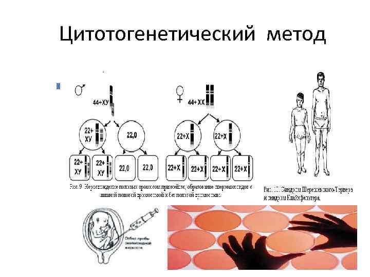 Цитотогенетический метод 