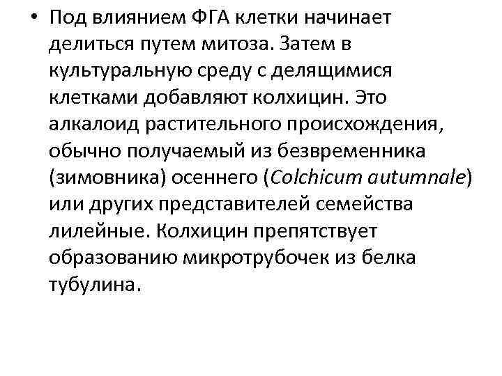  • Под влиянием ФГА клетки начинает делиться путем митоза. Затем в культуральную среду