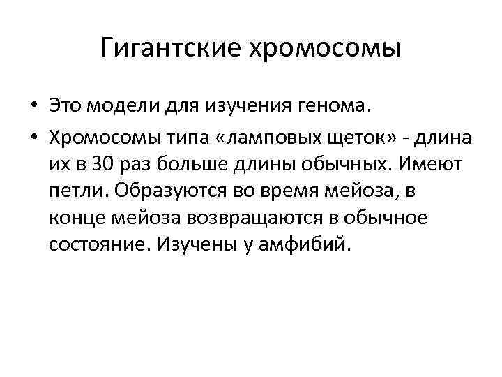 Гигантские хромосомы • Это модели для изучения генома. • Хромосомы типа «ламповых щеток» -