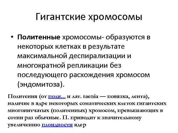 Гигантские хромосомы • Политенные хромосомы- образуются в некоторых клетках в результате максимальной деспирализации и