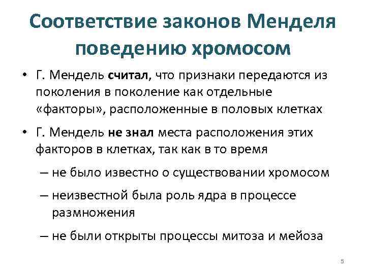 Соответствие законов Менделя поведению хромосом • Г. Мендель считал, что признаки передаются из поколения