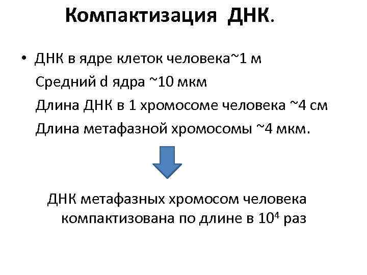 Компактизация ДНК. • ДНК в ядре клеток человека~1 м Cредний d ядра ~10 мкм