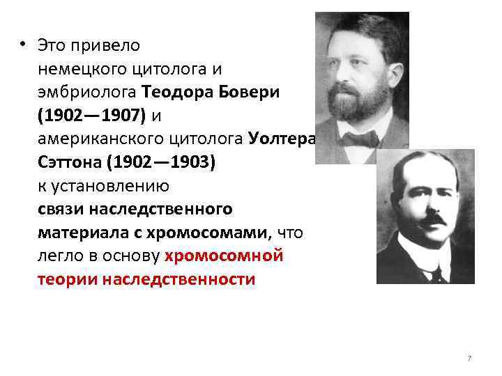 Основные положения хромосомной теории. Теодор Генрих Бовери. Саттон и Бовери. Т. Бовери. Саттон и Бовери хромосомная теория.