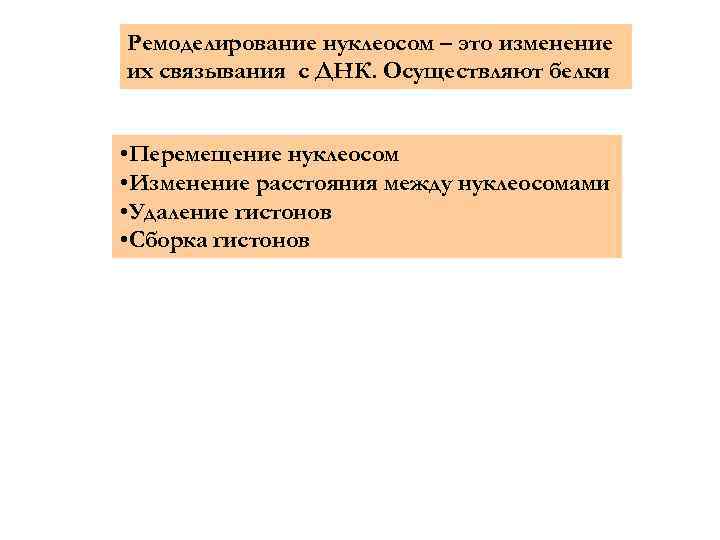 Ремоделирование нуклеосом – это изменение их связывания с ДНК. Осуществляют белки • Перемещение нуклеосом