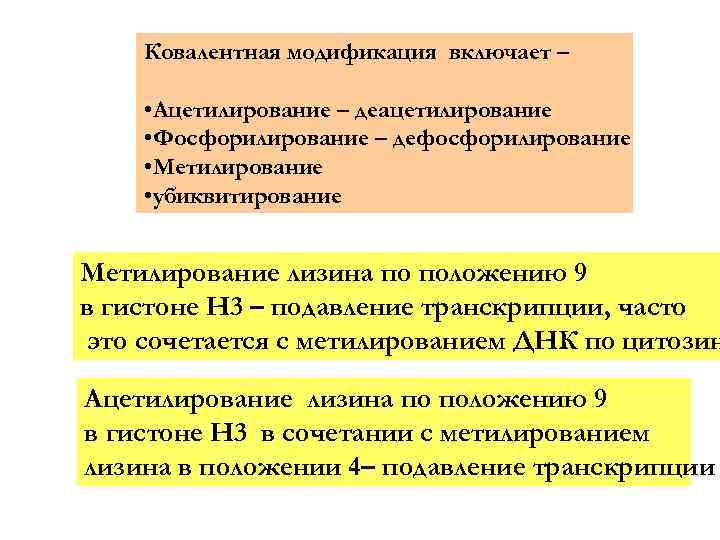 Ковалентная модификация включает – • Ацетилирование – деацетилирование • Фосфорилирование – дефосфорилирование • Метилирование