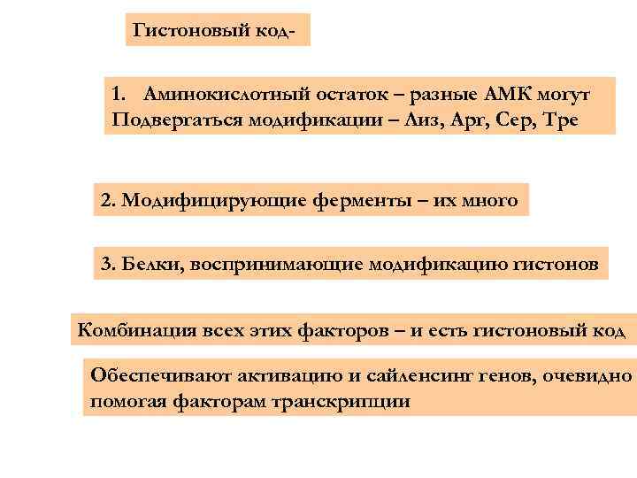 Гистоновый код- 1. Аминокислотный остаток – разные АМК могут Подвергаться модификации – Лиз, Арг,