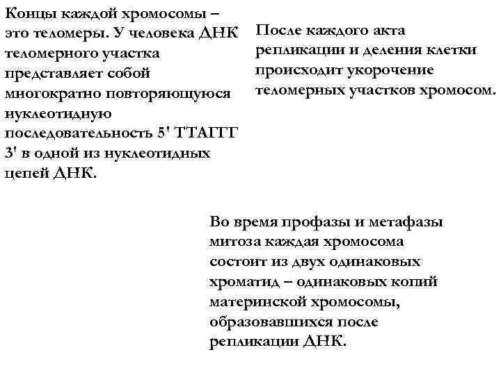 Концы каждой хромосомы – это теломеры. У человека ДНК теломерного участка представляет собой многократно