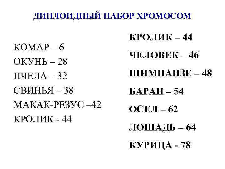 ДИПЛОИДНЫЙ НАБОР ХРОМОСОМ КОМАР – 6 ОКУНЬ – 28 ПЧЕЛА – 32 СВИНЬЯ –