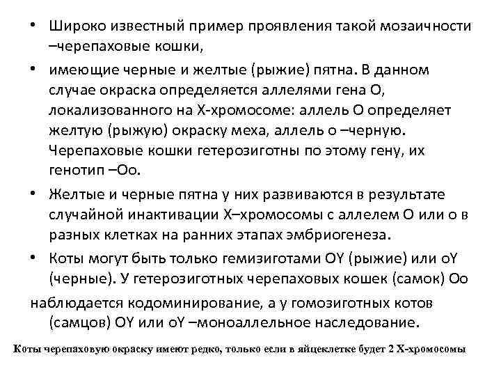  • Широко известный пример проявления такой мозаичности –черепаховые кошки, • имеющие черные и