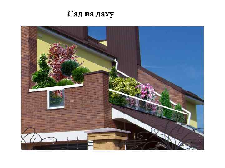 Сад на даху 