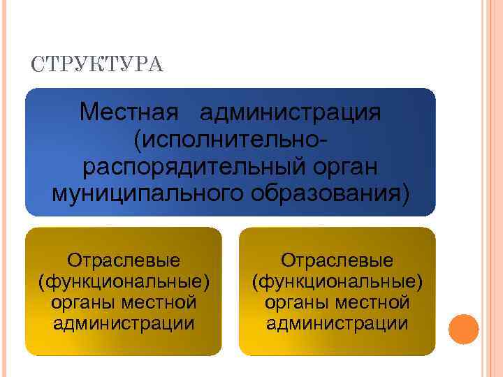 СТРУКТУРА Местная администрация (исполнительнораспорядительный орган муниципального образования) Отраслевые (функциональные) органы местной администрации 