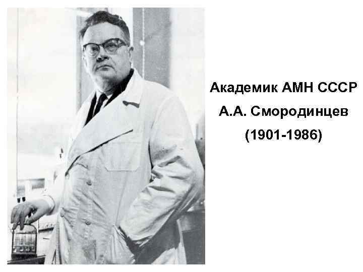 Академик АМН СССР А. А. Смородинцев (1901 -1986) 