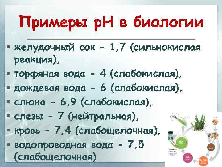 Примеры р. Н в биологии § желудочный сок - 1, 7 (сильнокислая реакция), §