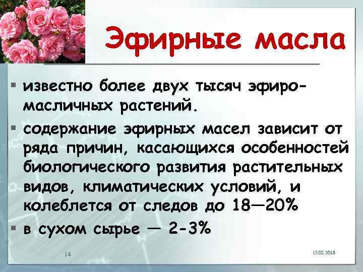 Эфирные масла § известно более двух тысяч эфиромасличных растений. § содержание эфирных масел зависит