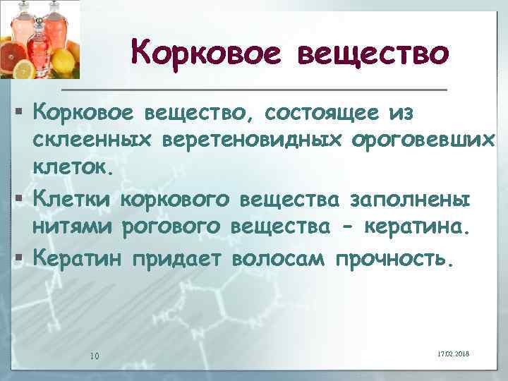 Корковое вещество § Корковое вещество, состоящее из склеенных веретеновидных ороговевших клеток. § Клетки коркового