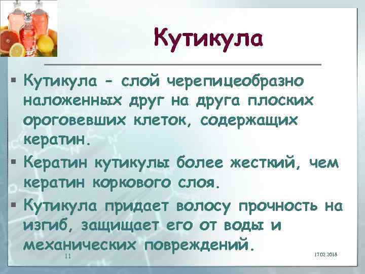 Кутикула § Кутикула - слой черепицеобразно наложенных друг на друга плоских ороговевших клеток, содержащих