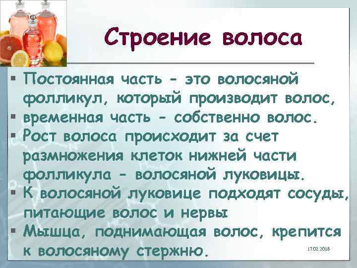 Строение волоса § Постоянная часть - это волосяной фолликул, который производит волос, § временная