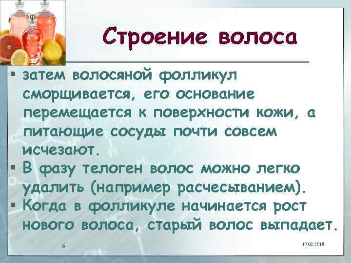 Строение волоса § затем волосяной фолликул сморщивается, его основание перемещается к поверхности кожи, а