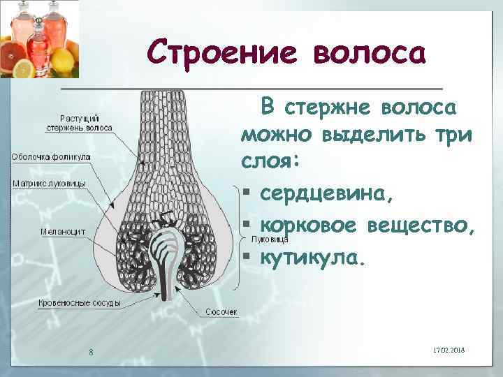 Воспаленный волосяной фолликул фото