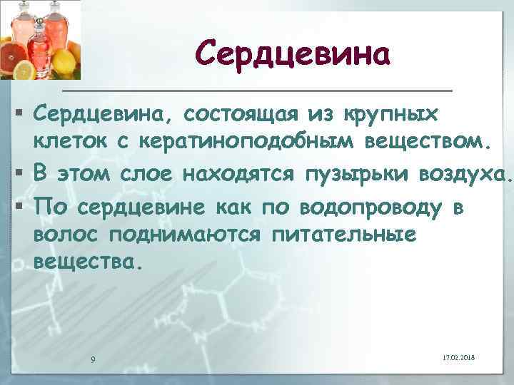 Сердцевина § Сердцевина, состоящая из крупных клеток с кератиноподобным веществом. § В этом слое