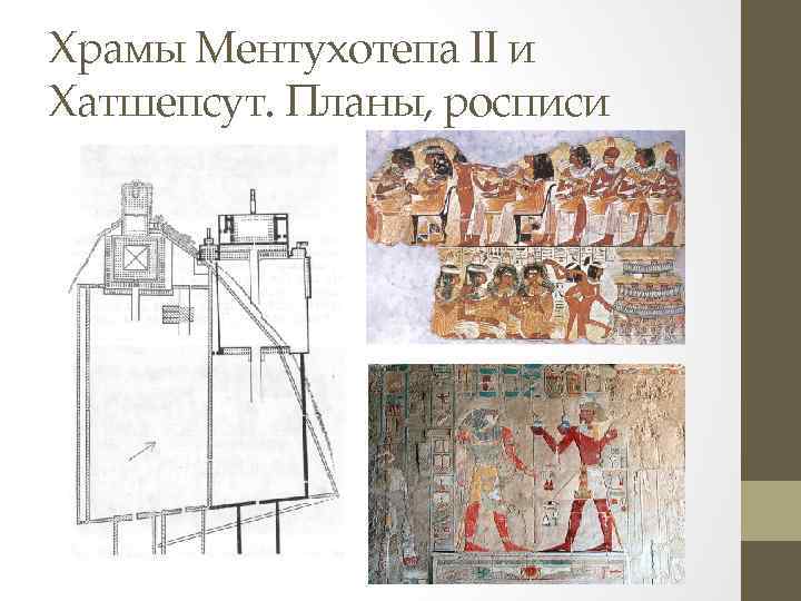 Храмы Ментухотепа II и Хатшепсут. Планы, росписи 