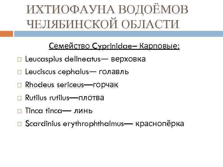 ИХТИОФАУНА ВОДОЁМОВ ЧЕЛЯБИНСКОЙ ОБЛАСТИ Семейство Cyprinidae– Карповые: Leucaspius delineatus— верховка Leuciscus cephalus— голавль Rhodeus