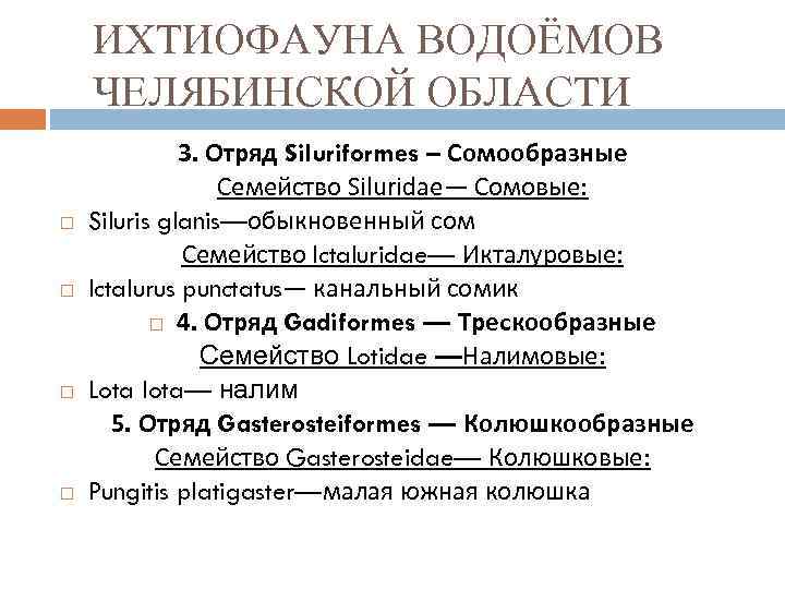 ИХТИОФАУНА ВОДОЁМОВ ЧЕЛЯБИНСКОЙ ОБЛАСТИ 3. Отряд Siluriformes – Сомообразные Семейство Siluridae— Сомовые: Siluris glanis—обыкновенный