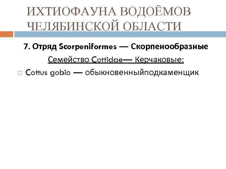 ИХТИОФАУНА ВОДОЁМОВ ЧЕЛЯБИНСКОЙ ОБЛАСТИ 7. Отряд Scorpeniformes — Скорпенообразные Семейство Cottidae— Керчаковые: Cottus gobio