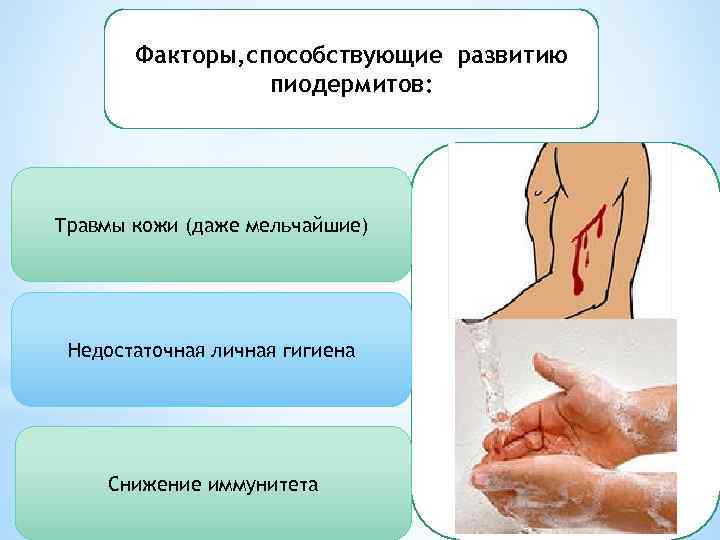 Факторы, способствующие развитию пиодермитов: Травмы кожи (даже мельчайшие) Недостаточная личная гигиена Снижение иммунитета 