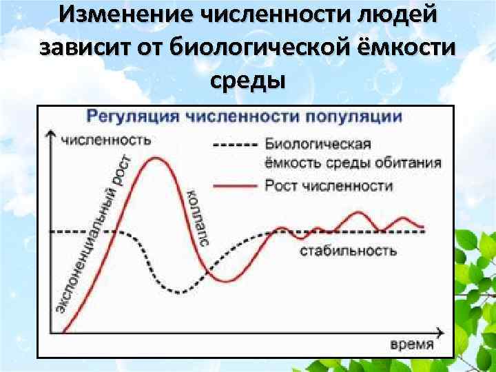 Изменение численности во времени