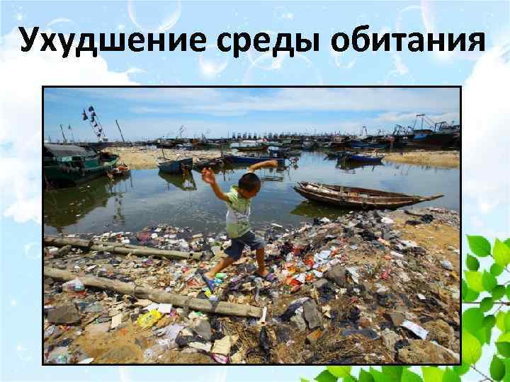 Ухудшение среды обитания 