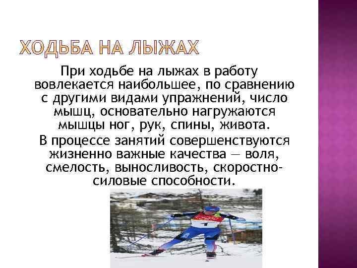 При ходьбе на лыжах в работу вовлекается наибольшее, по сравнению с другими видами упражнений,