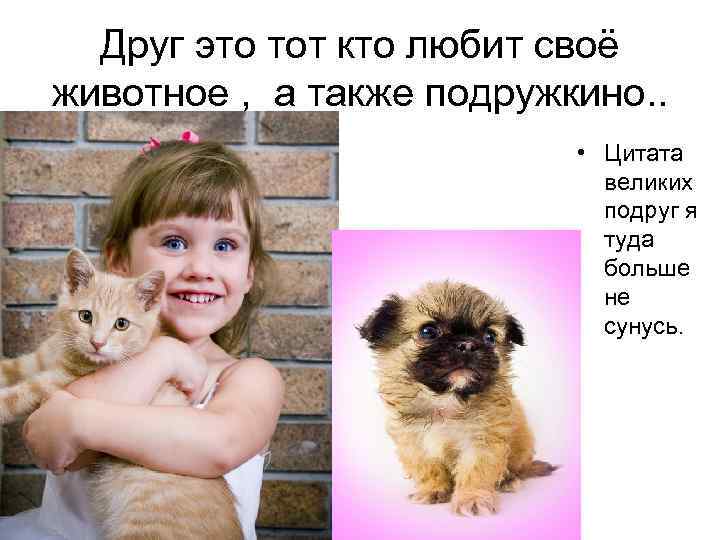 Друг это тот кто любит своё животное , а также подружкино. . • Цитата