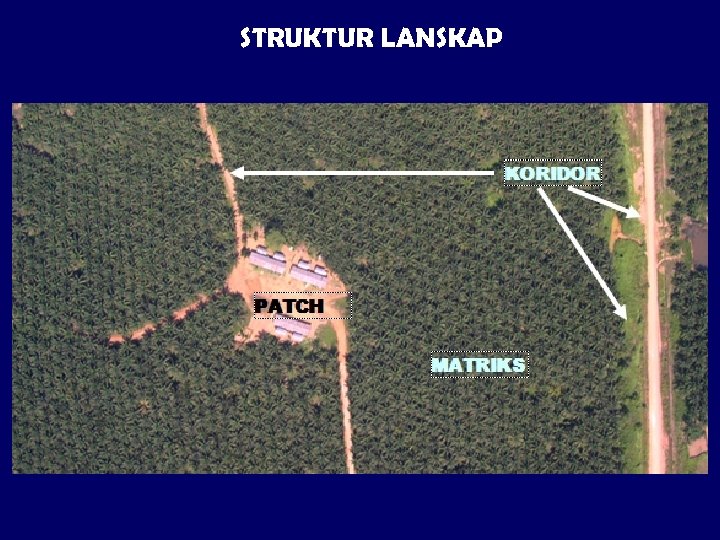 STRUKTUR LANSKAP 