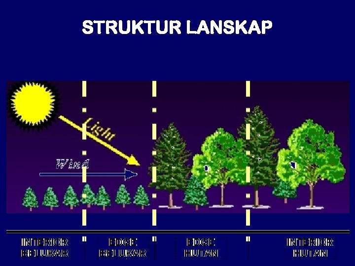 STRUKTUR LANSKAP 