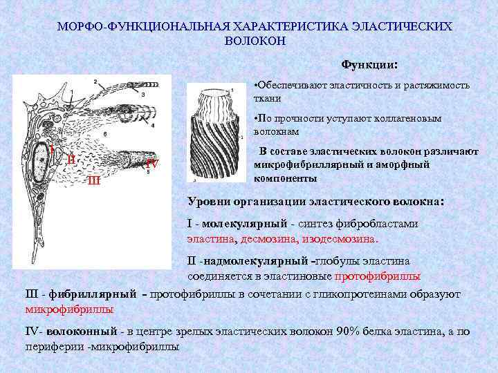 Растяжимость ткани по основной нити