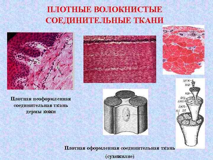 Начиная проект убедись в наличии ресурсов