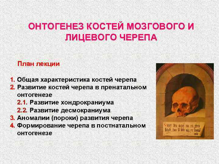 Развитие мозгового и лицевого черепа. Развитие костей мозгового черепа. Онтогенез костей черепа. Развитие костей лицевого черепа. Развитие костей мозгового и лицевого черепа.