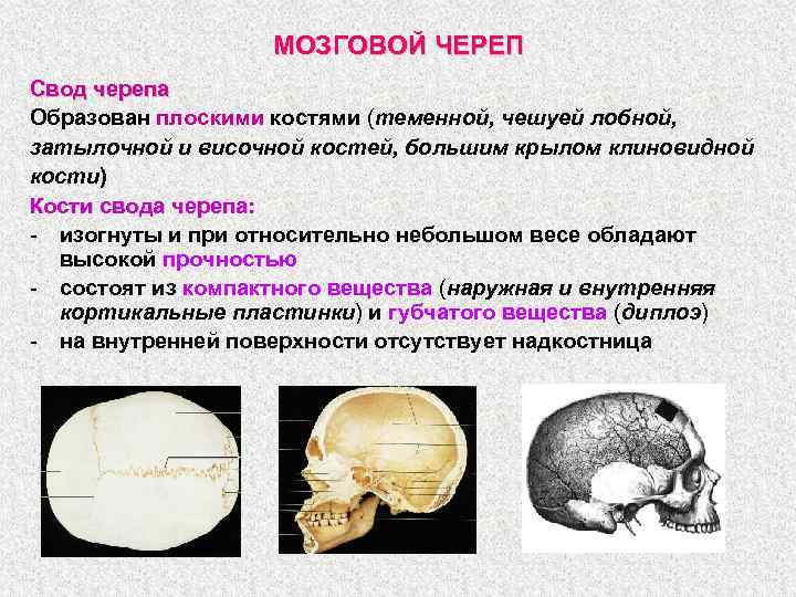 Аномалии мозгового черепа